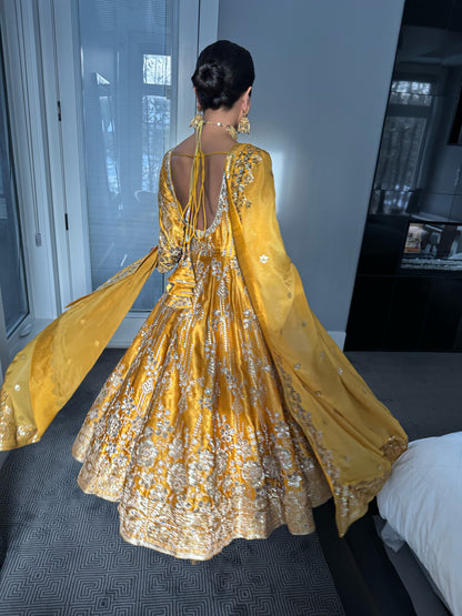 Golden Hour | Gold Embroidered Anarkali